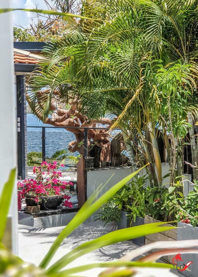 Villa Fleur D'O Le Robert Exteriér fotografie
